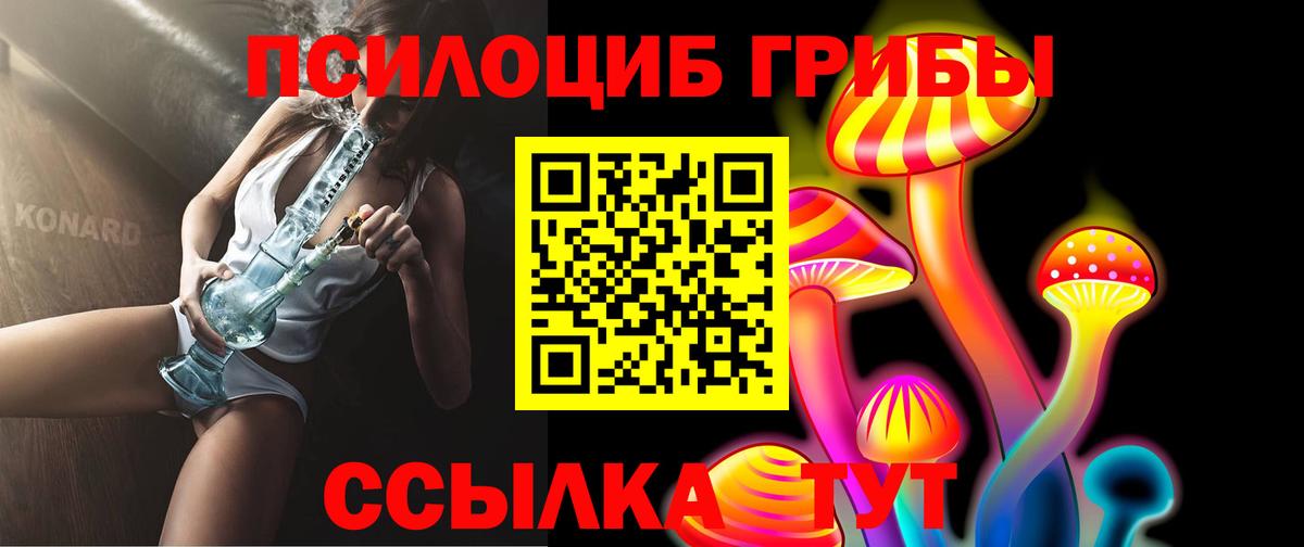 Галлюциногенные грибы Cubensis Алексин