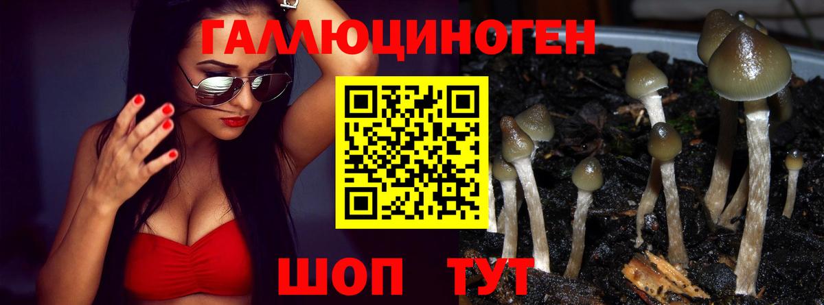 Галлюциногенные грибы Magic Shrooms  Вход с VPN  Алексин 